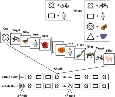 Spatio-Temporal Brain Dynamic Differences in <mark class="highlighted">Fluid Intelligence</mark>